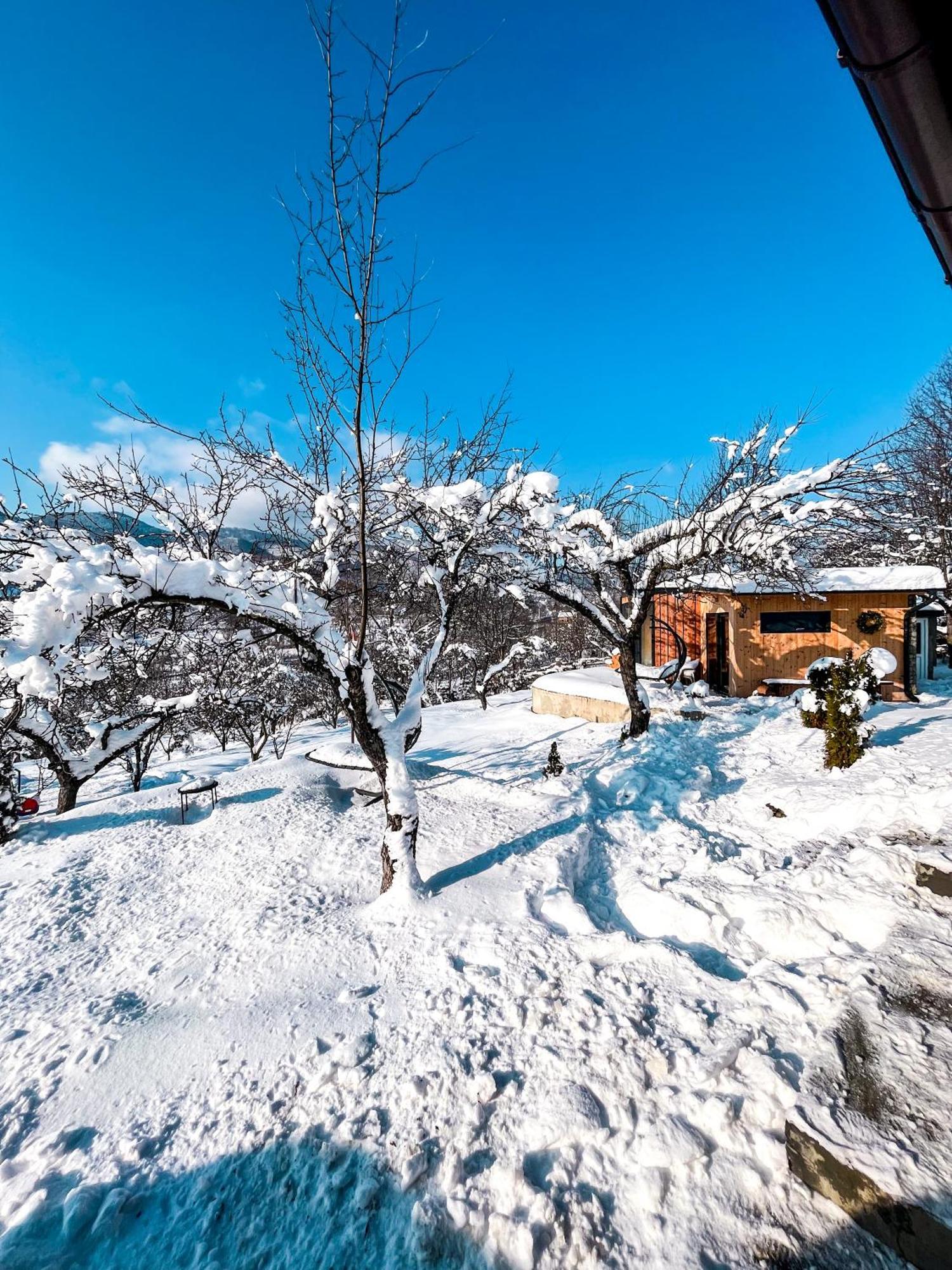 Elysian Fields - The Island Tiny House Bed & Breakfast Sadu ภายนอก รูปภาพ